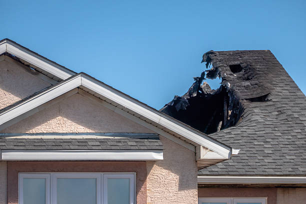 Top rated local Fire Damage Removal specialists in Upper Falls, MD